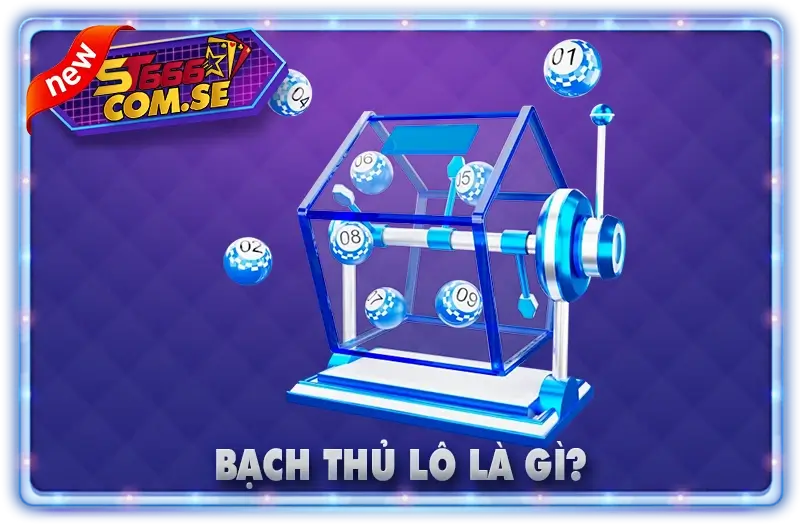 Bạch Thủ Lô Là Gì